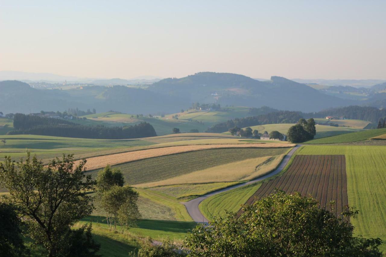 Ferienwohnung im Mühlviertler Panorama Vierseithof Lembach im Mühlkreis Exterior foto