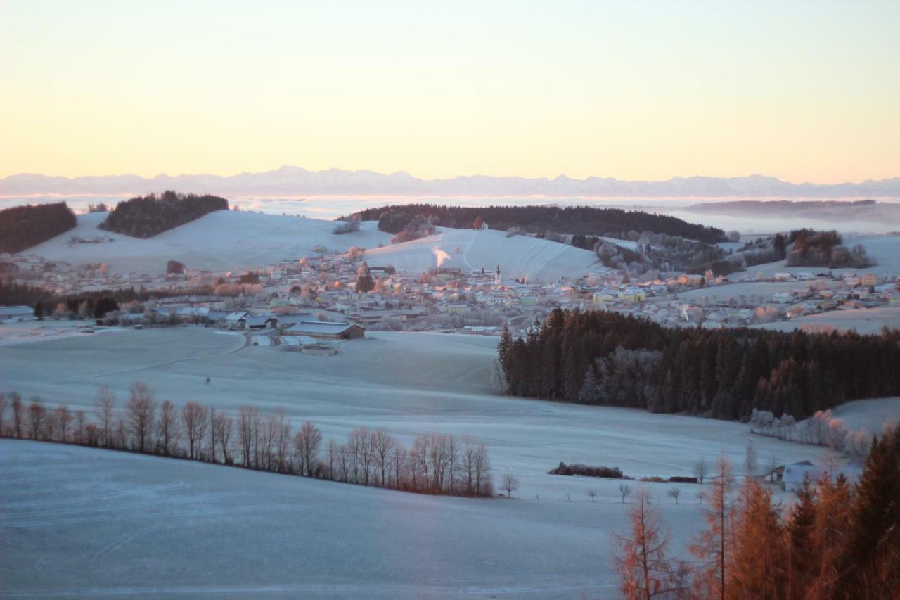 Ferienwohnung im Mühlviertler Panorama Vierseithof Lembach im Mühlkreis Exterior foto